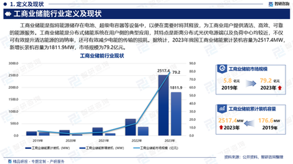 2025-2031年中国工商业储能行业市场现状调查及未来趋势研判 电容器及其配套设备的机遇与挑战